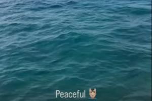 心如止水@哈兰德?格拉利什晒海边度假照，配文：peaceful
